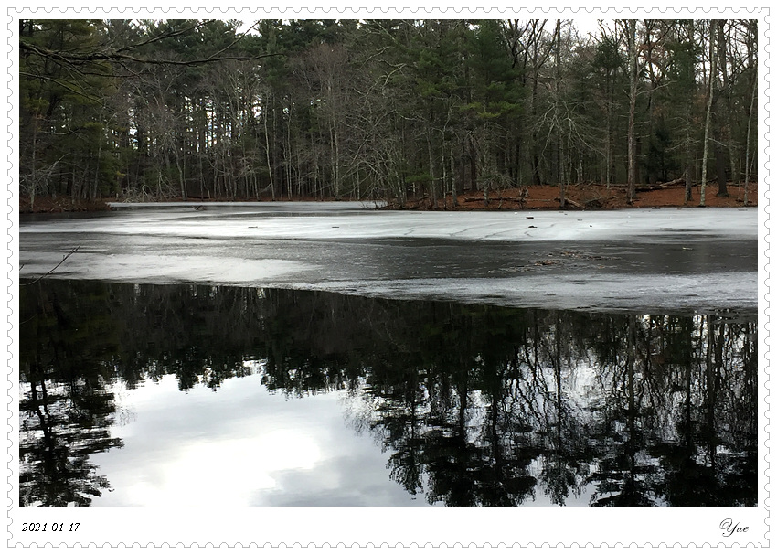 winter, Harold Park