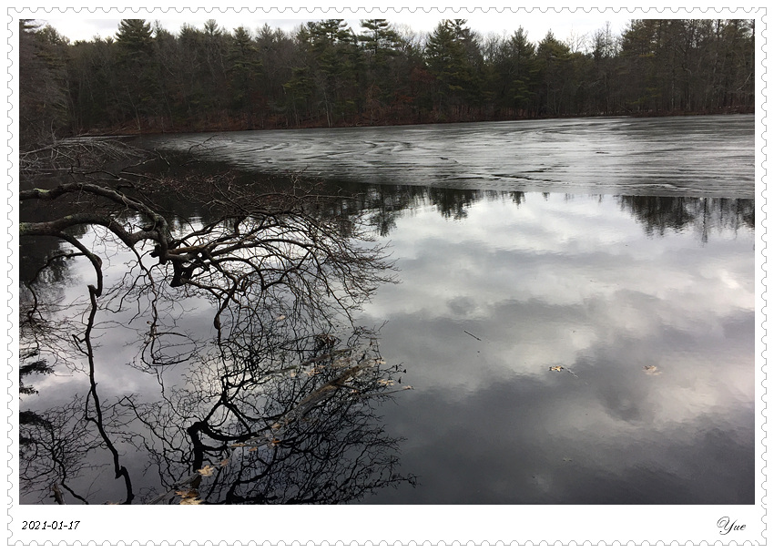 winter, Harold Park