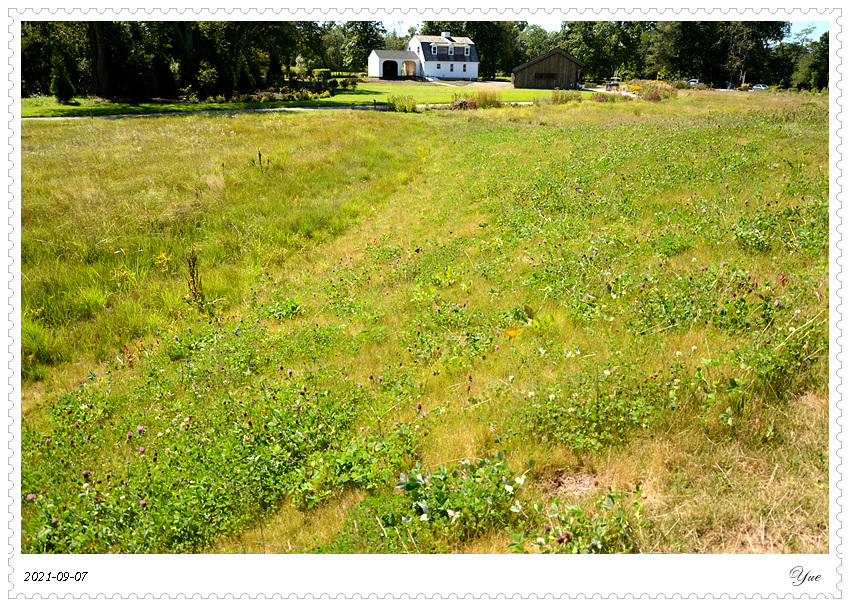 Stevens-Coolidge House & Gardens