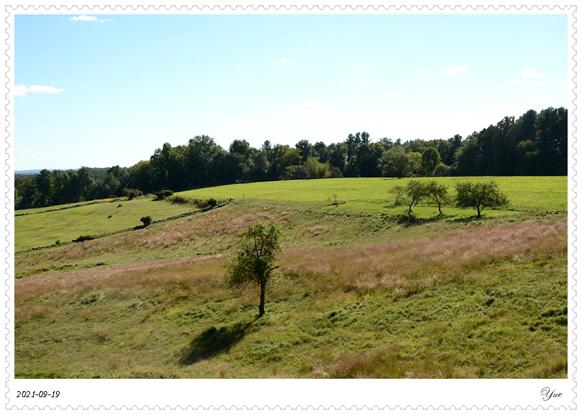  Ward Reservation