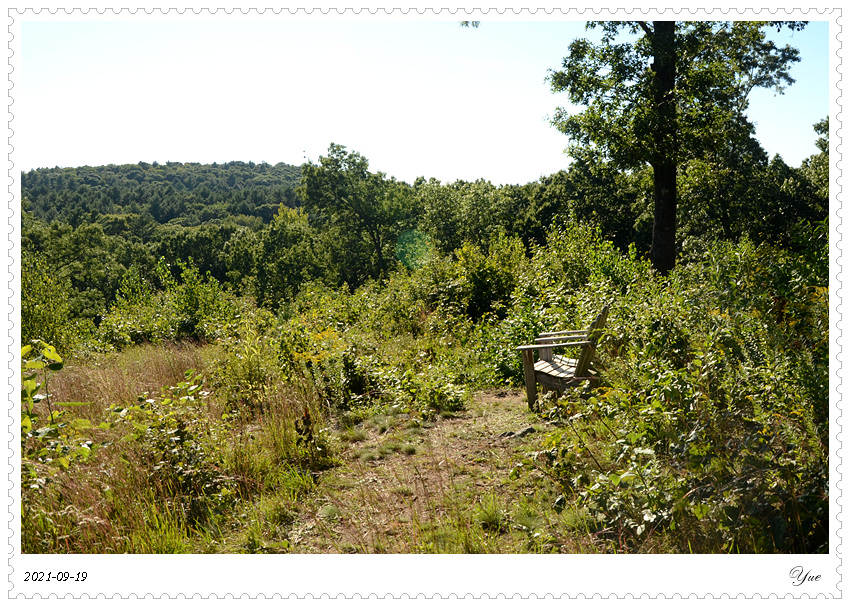  Ward Reservation