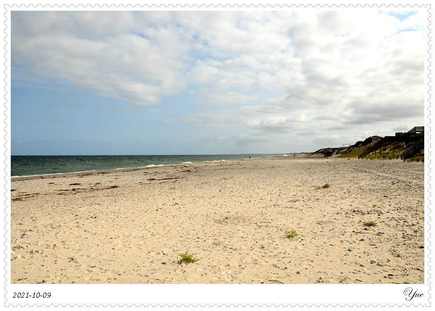  Sandy Neck Beach, beachcombing