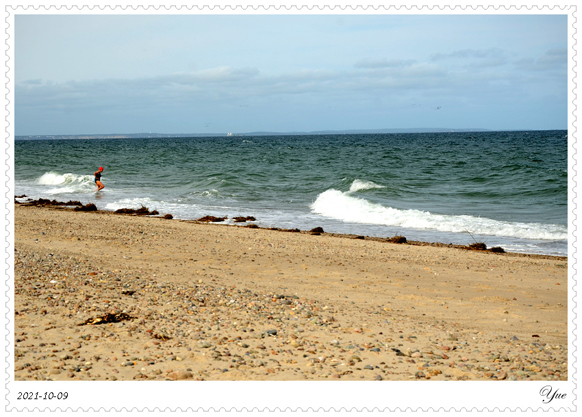  Sandy Neck Beach, beachcombing