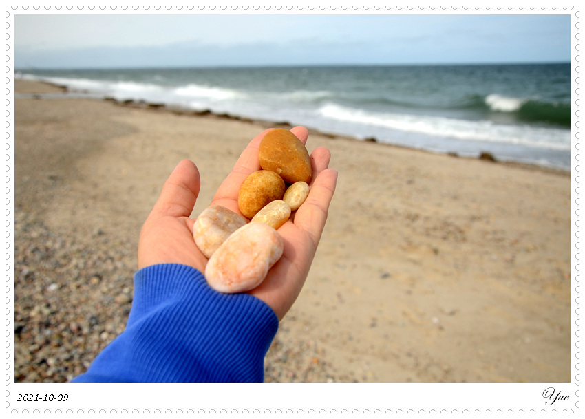  Sandy Neck Beach, beachcombing