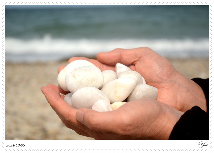  Sandy Neck Beach, beachcombing