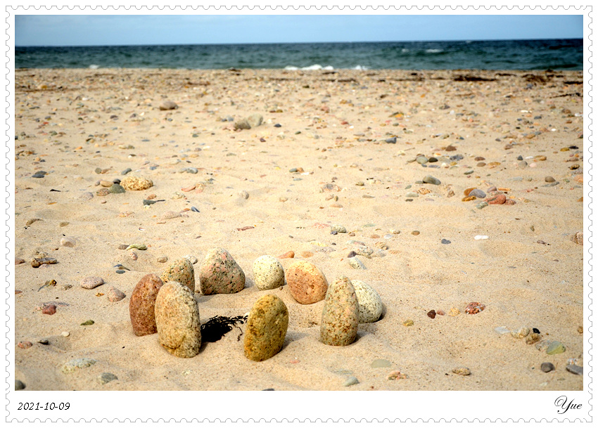  Sandy Neck Beach, beachcombing