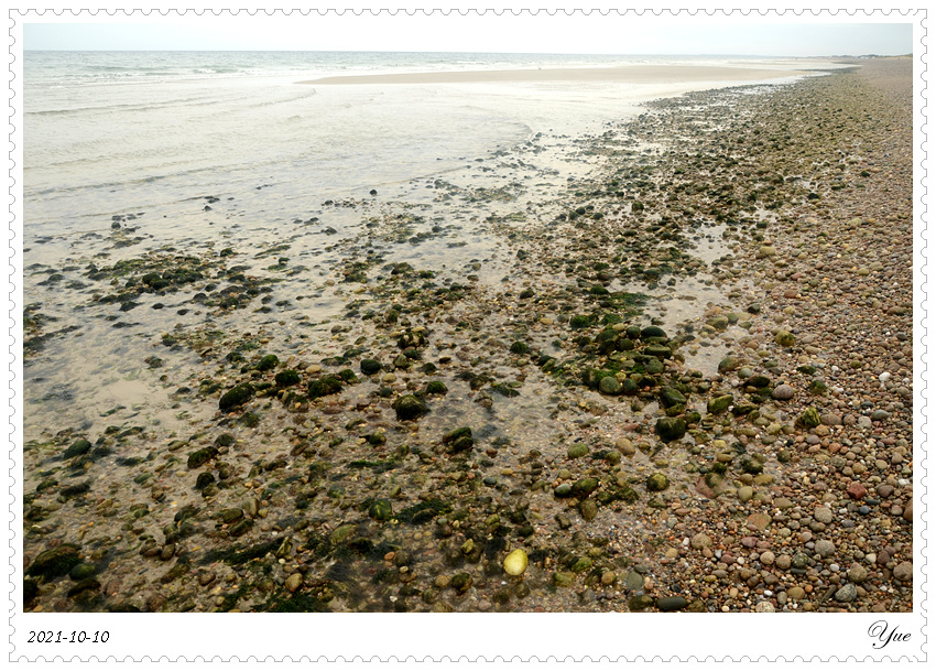  Sandy Neck Beach, beachcombing