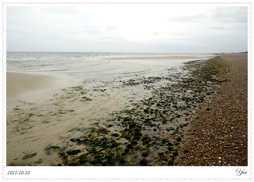 Sandy Neck Beach, beachcombing