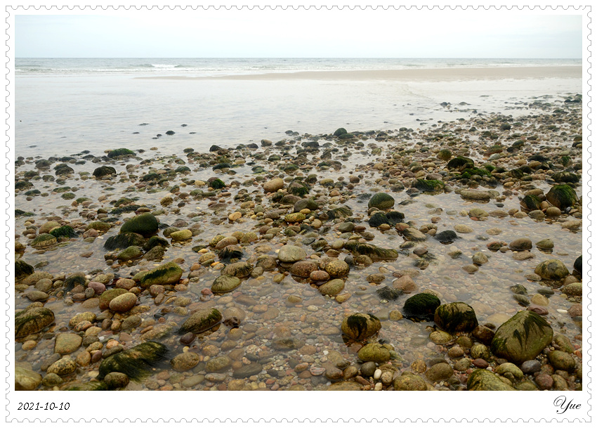  Sandy Neck Beach, beachcombing