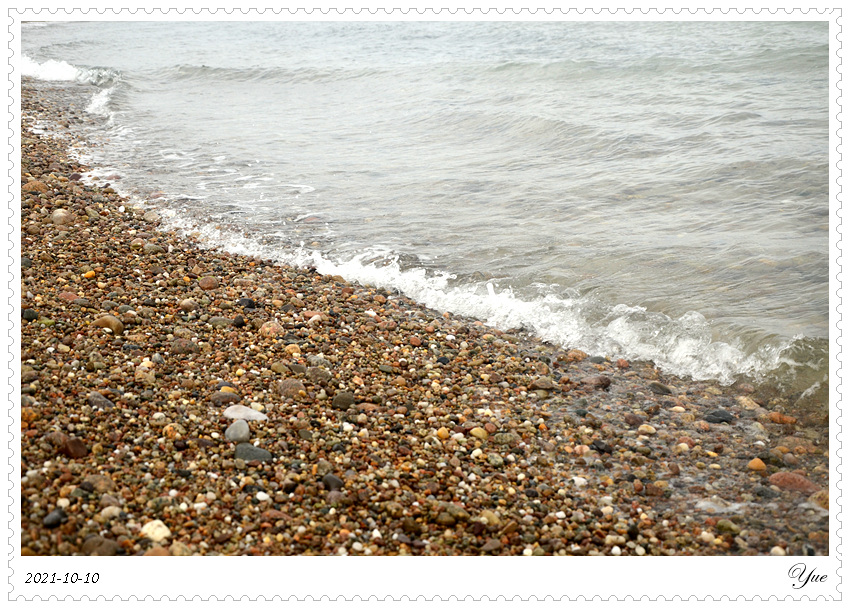  Sandy Neck Beach, beachcombing