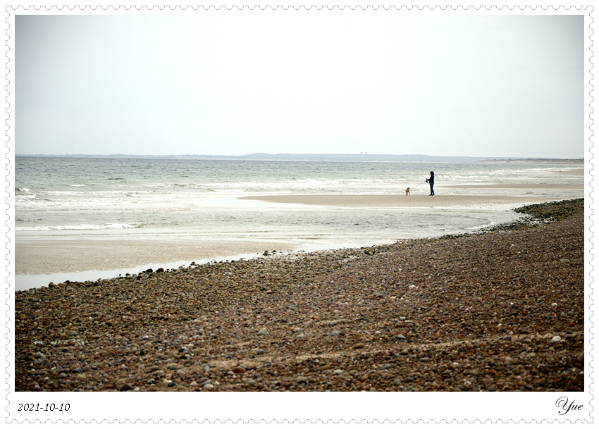  Sandy Neck Beach, beachcombing