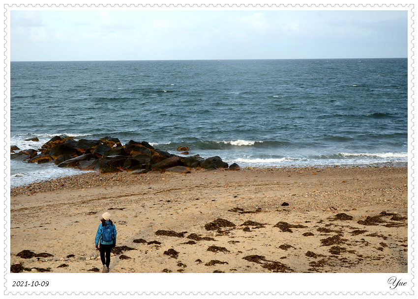  Sandwich Town Beach, beachcombing