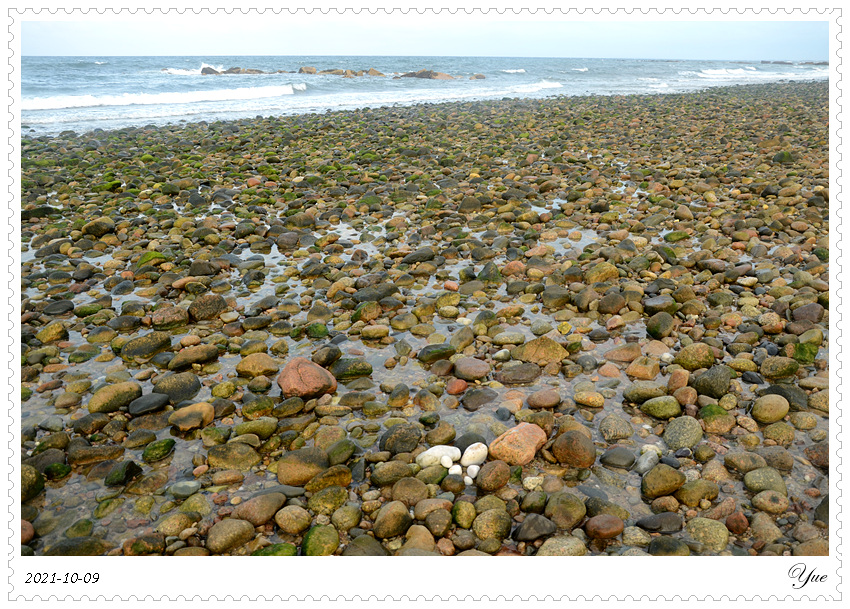  Sandwich Town Beach, beachcombing