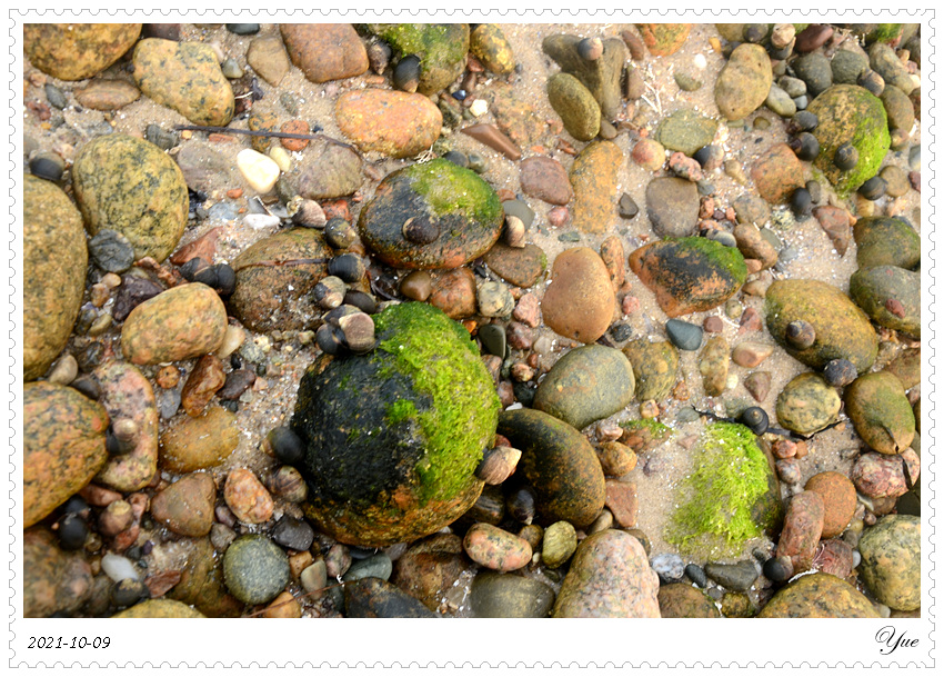  Sandwich Town Beach, beachcombing
