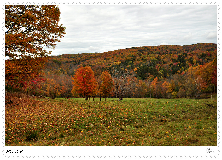 Jenne Farm