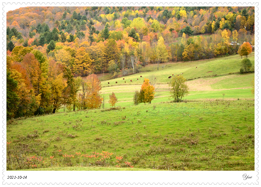 Jenne Farm