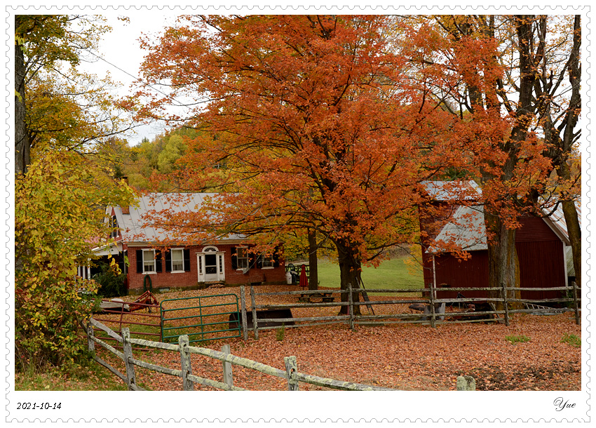 Jenne Farm