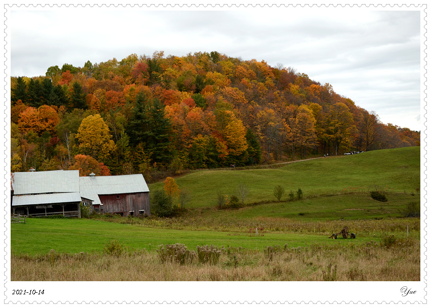 Jenne Farm