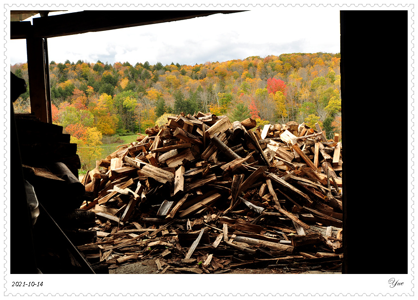  Sugarbush Farm, Maple Syrup