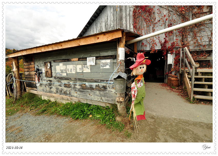  Sugarbush Farm, Maple Syrup
