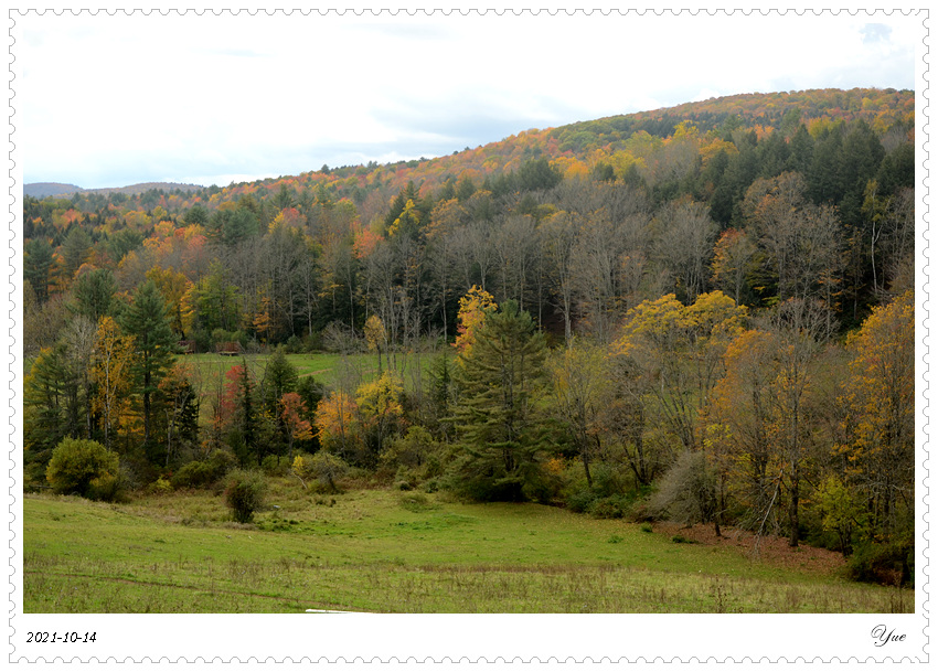  Sugarbush Farm