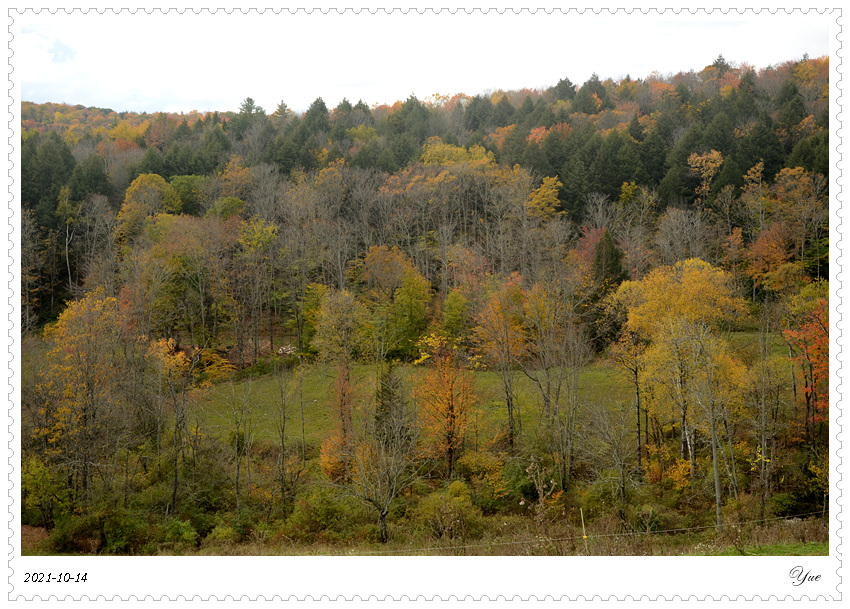  Sugarbush Farm