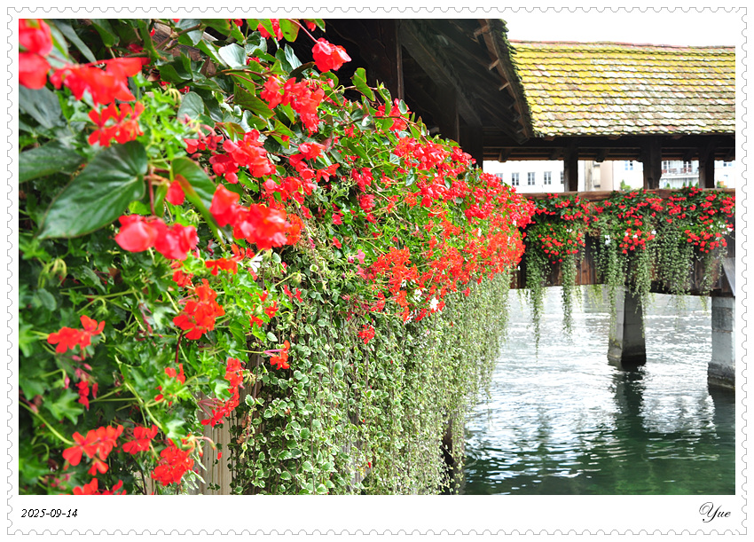 Luzern Chapel Bridge