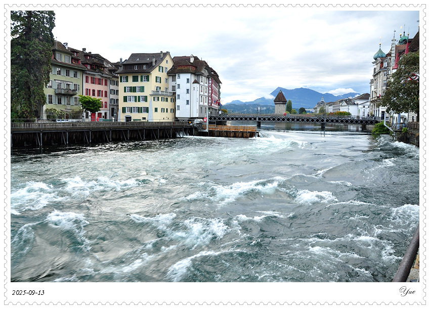 ˹ Needle Damͨ˹γľ¬ˮλ19͹ѧ漣